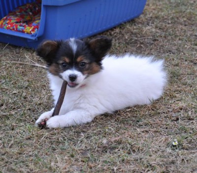 dsc_0521.jpg